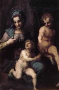 Andrea del Sarto The Virgin and Child with St. John childhood oil on canvas